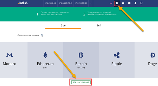 how to buy Bitcoin Cash on Bitlish