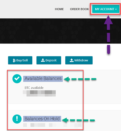 how to view balance on 1BTCXE