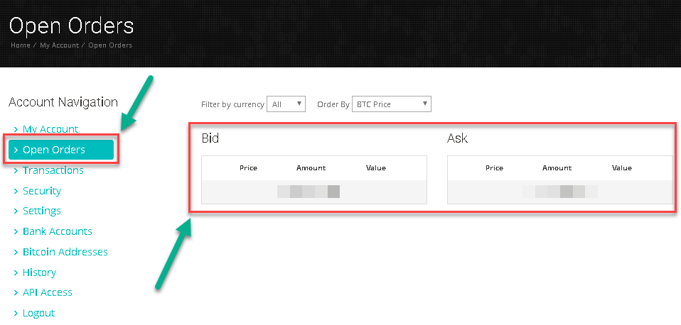 how to view open order on 1BTCXE